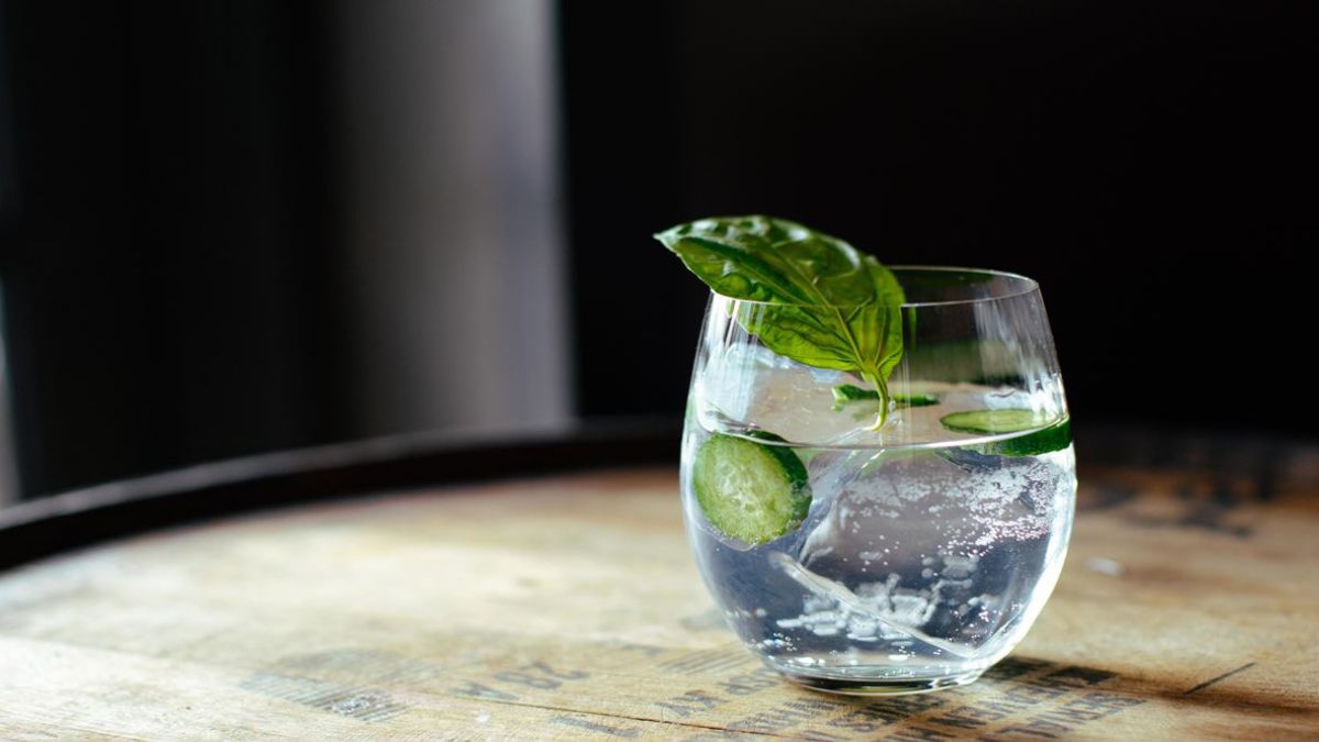 Giniä Understanding the Unique Concept of Giniä in Daily Life